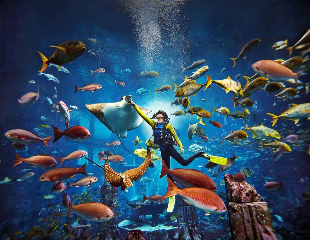 Atlantis The Royal